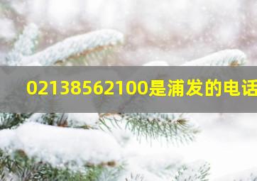 02138562100是浦发的电话吗