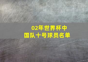 02年世界杯中国队十号球员名单