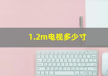 1.2m电视多少寸