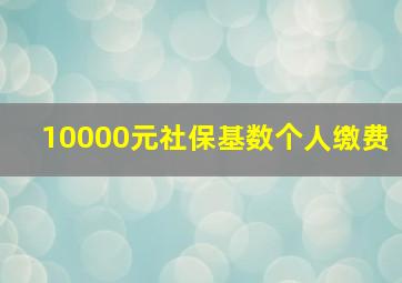 10000元社保基数个人缴费