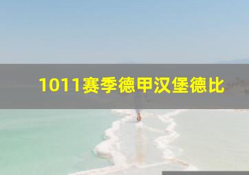 1011赛季德甲汉堡德比