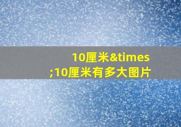 10厘米×10厘米有多大图片