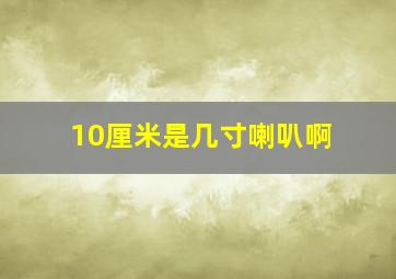 10厘米是几寸喇叭啊