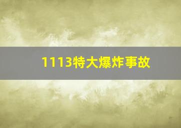 1113特大爆炸事故