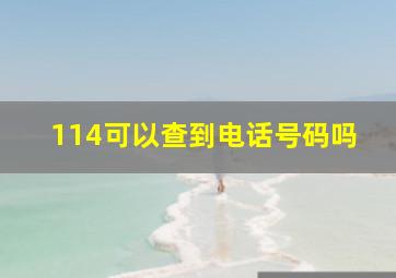 114可以查到电话号码吗