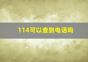 114可以查到电话吗