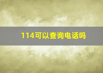 114可以查询电话吗