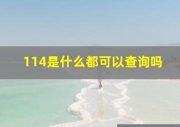 114是什么都可以查询吗