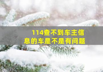 114查不到车主信息的车是不是有问题