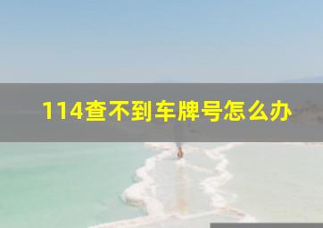 114查不到车牌号怎么办