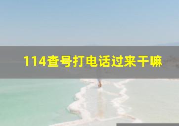 114查号打电话过来干嘛