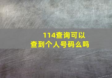 114查询可以查到个人号码么吗