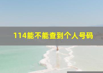 114能不能查到个人号码