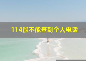 114能不能查到个人电话