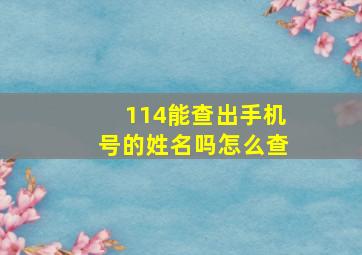 114能查出手机号的姓名吗怎么查