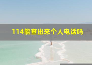 114能查出来个人电话吗