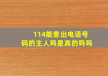 114能查出电话号码的主人吗是真的吗吗