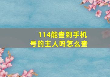 114能查到手机号的主人吗怎么查