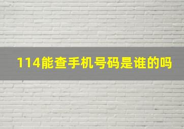 114能查手机号码是谁的吗