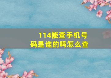 114能查手机号码是谁的吗怎么查