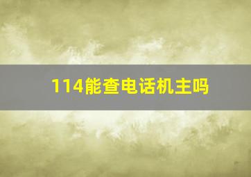 114能查电话机主吗