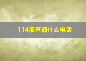 114能查询什么电话