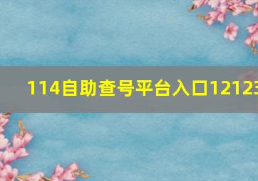 114自助查号平台入口12123