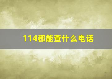 114都能查什么电话