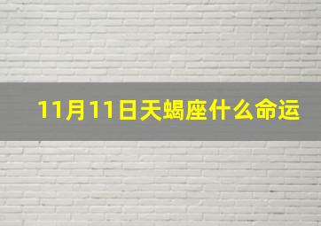 11月11日天蝎座什么命运