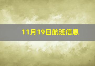 11月19日航班信息