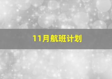 11月航班计划