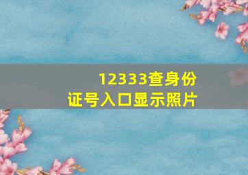 12333查身份证号入口显示照片