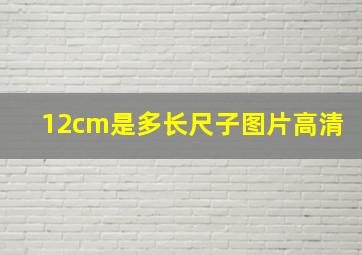 12cm是多长尺子图片高清