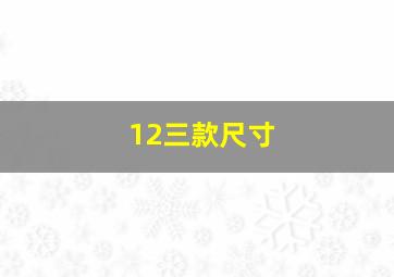 12三款尺寸