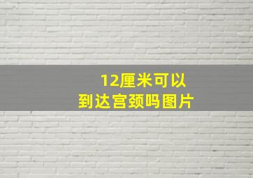 12厘米可以到达宫颈吗图片