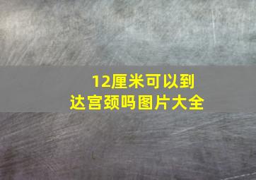 12厘米可以到达宫颈吗图片大全