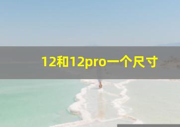 12和12pro一个尺寸