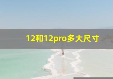 12和12pro多大尺寸