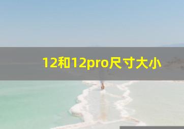 12和12pro尺寸大小