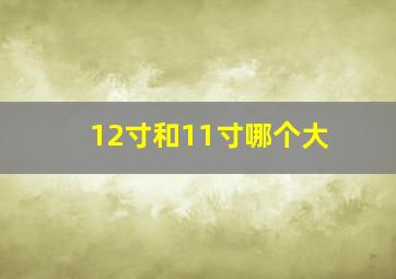 12寸和11寸哪个大