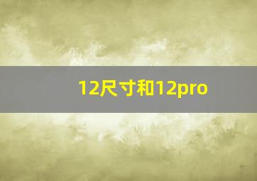 12尺寸和12pro