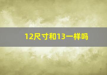 12尺寸和13一样吗