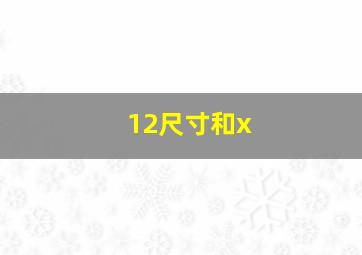 12尺寸和x