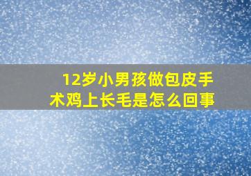 12岁小男孩做包皮手术鸡上长毛是怎么回事