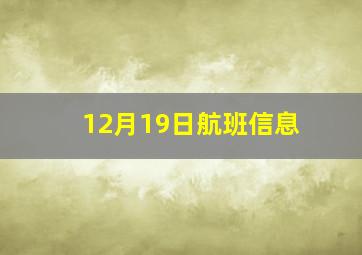 12月19日航班信息