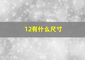 12有什么尺寸