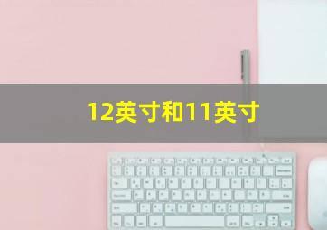 12英寸和11英寸