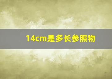 14cm是多长参照物