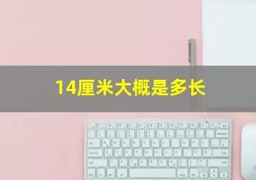 14厘米大概是多长