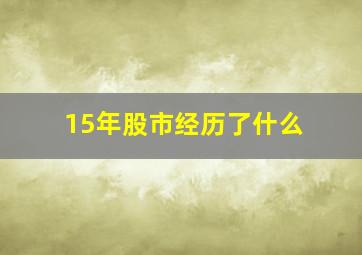 15年股市经历了什么